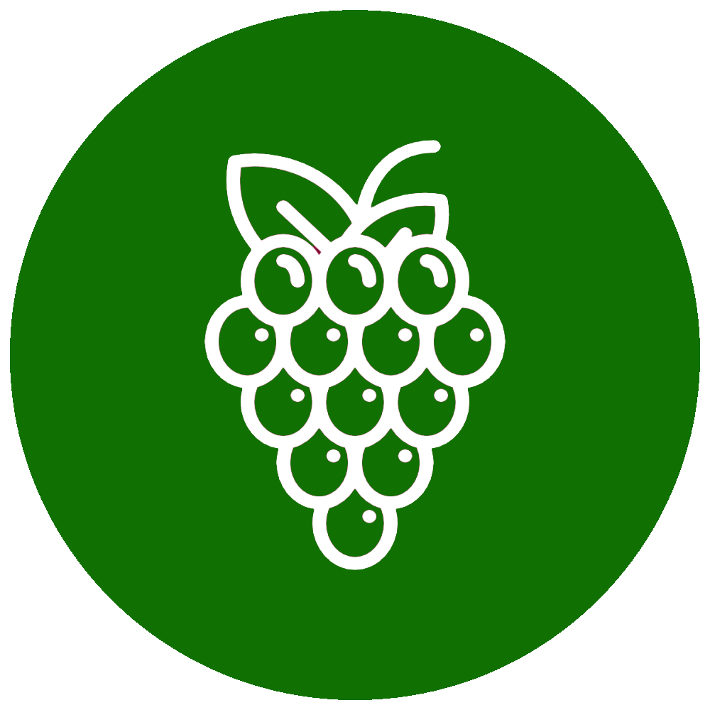 logo formation BTSA viticulture eonologie ifco