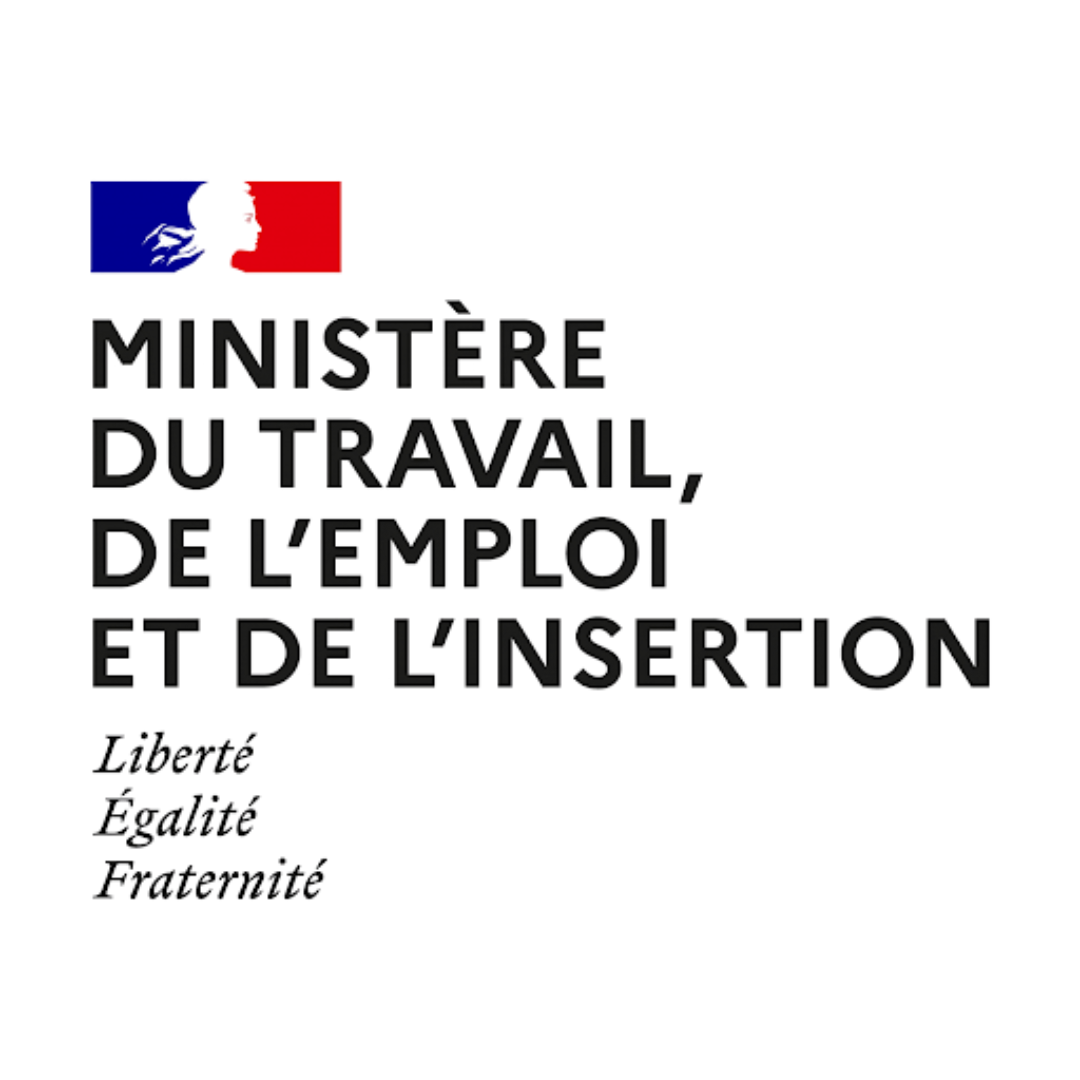 Logo agrégation du ministère du travail, de l'emploi et de l'insertion