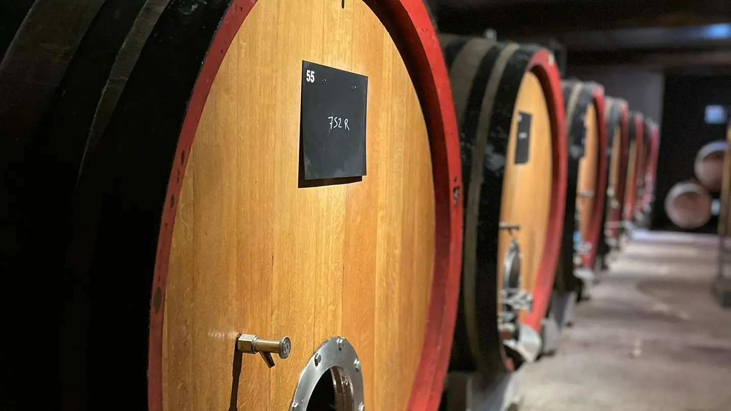 Photo des cuves de vieillissement de la Maison de Champagne Jacquesson