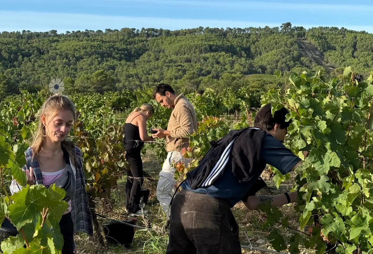 Photo élèves conseiller commercial vins et spiritueux IFCO Marseille
