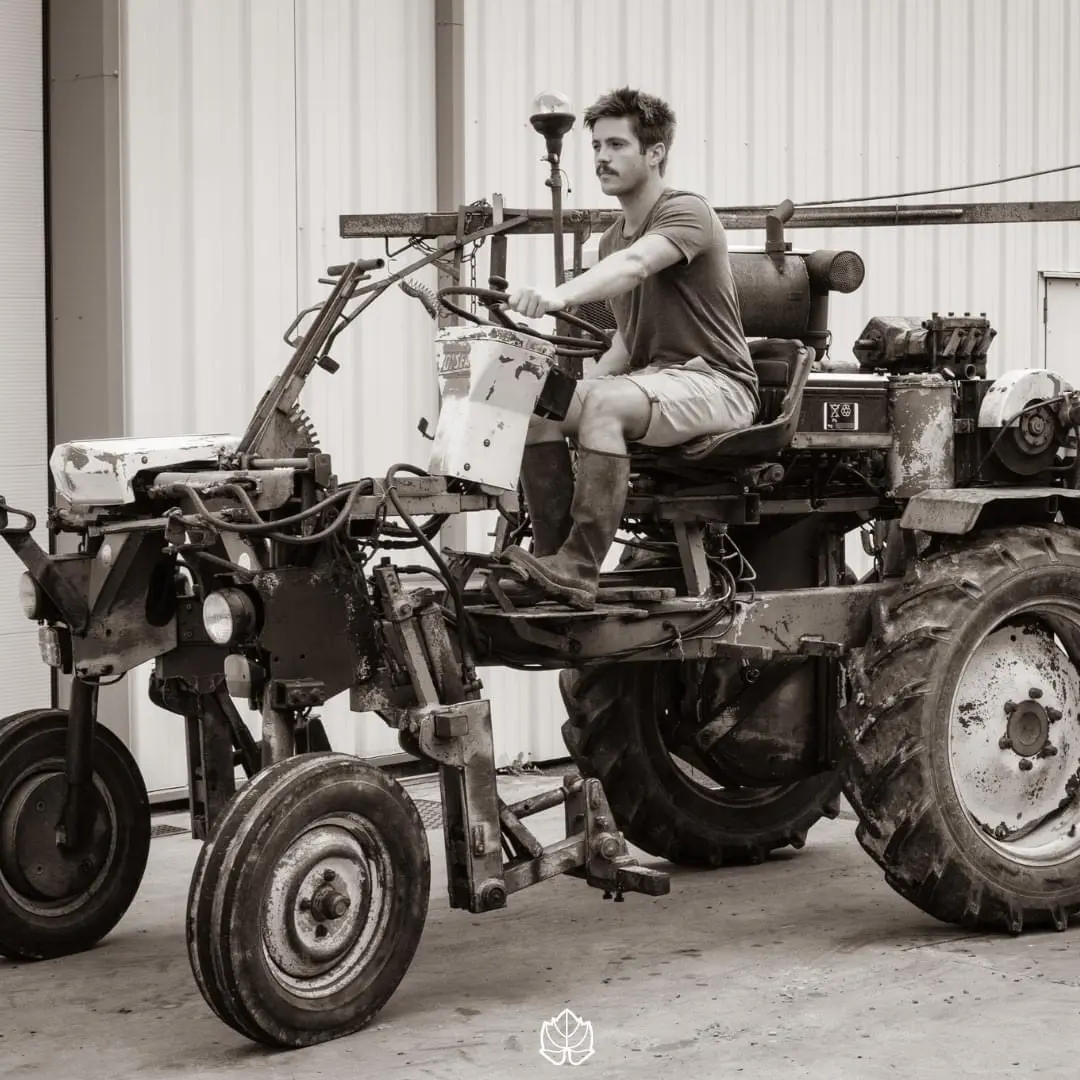 Tractoriste viticole